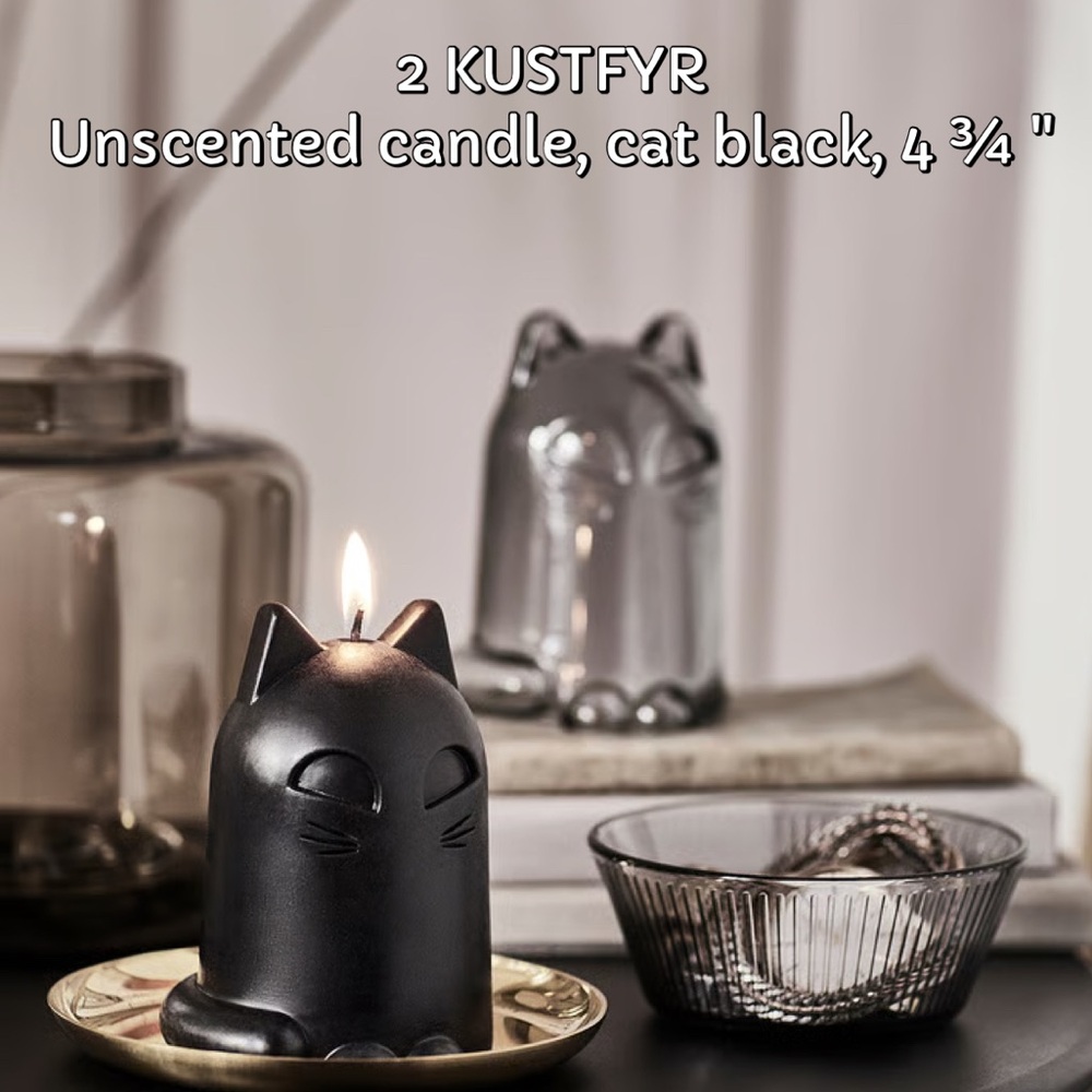 2 Black Cat Unscented Candle